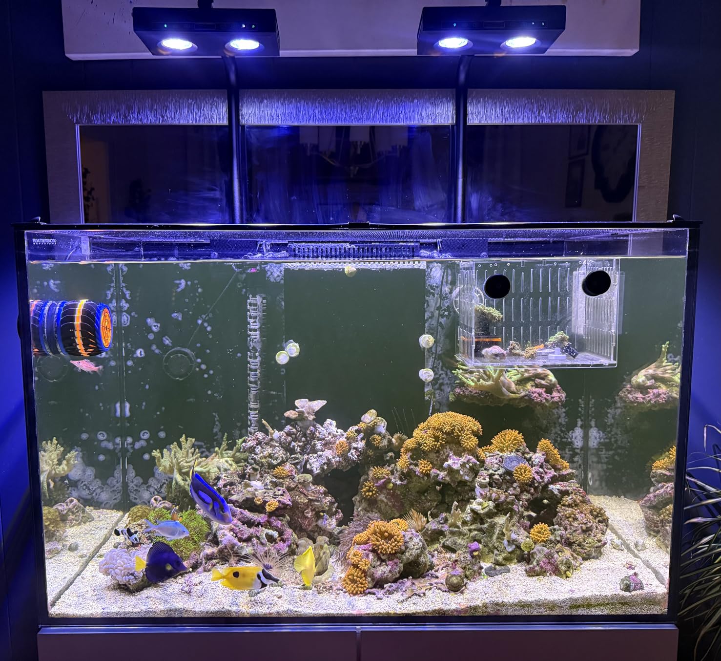 Aqua Marine Tank - Lampu LED Akuarium DIY Spektrum Tinggi