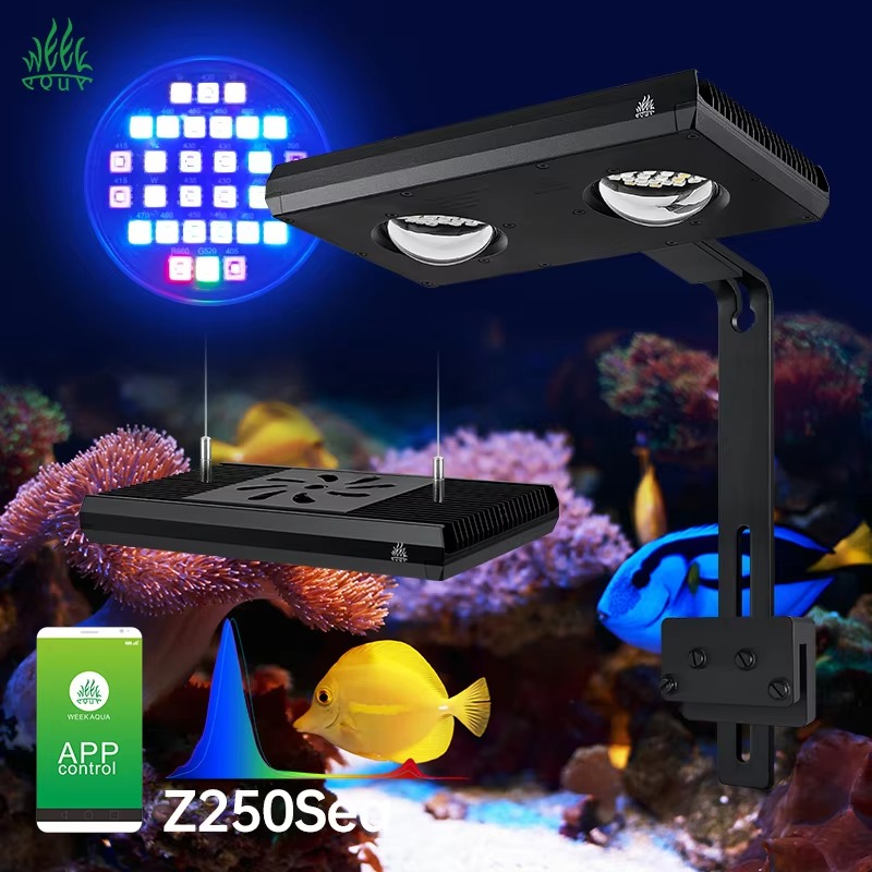 Aqua Marine Tank - Week AQUA Z250/Z400 Lampu LED Terumbu