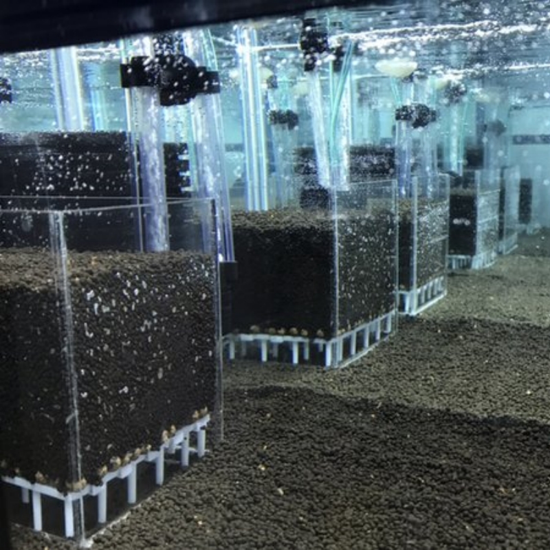 Sistem Filter Akuarium Udang A - Calcium Reactor Media ulasan dan harga