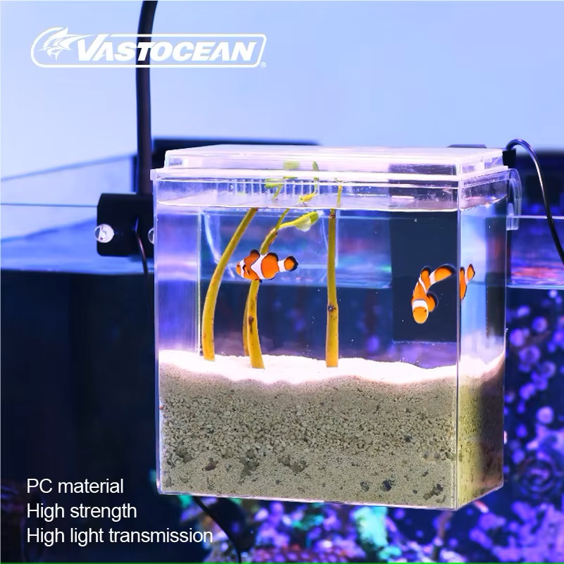 VASTOCEAN Tangki Ikan Kotak Ma - Marine Aquarium Protein Skimmer ulasan dan harga