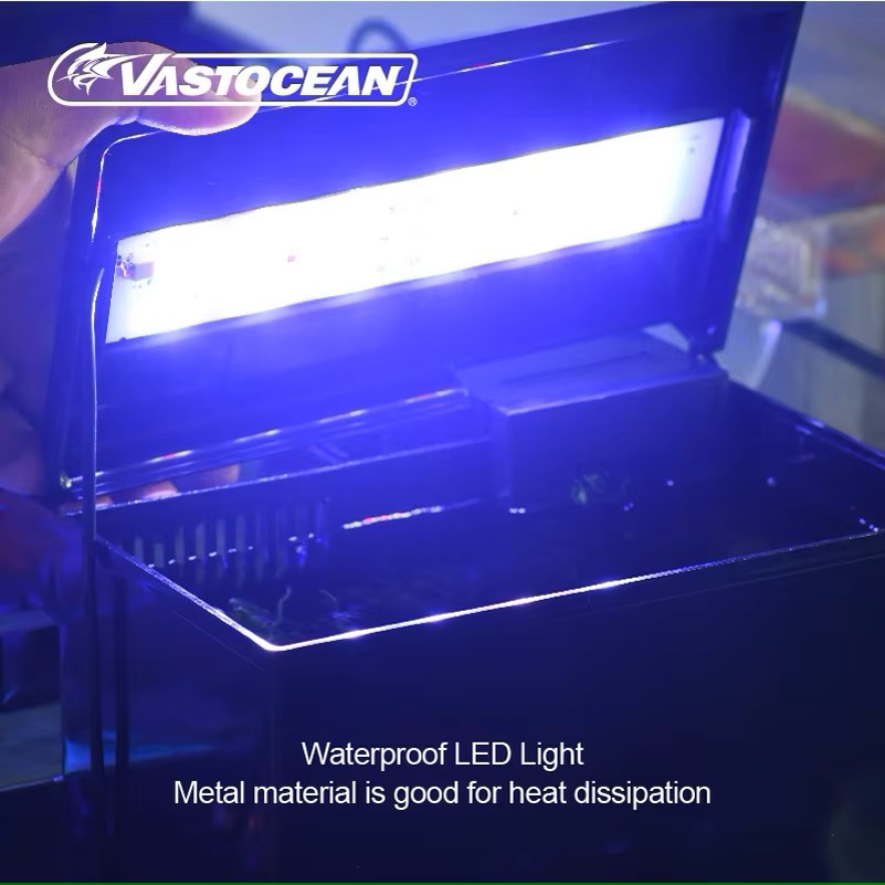 VASTOCEAN Tangki Ikan Kotak Ma - Marine Aquarium Protein Skimmer ulasan dan harga