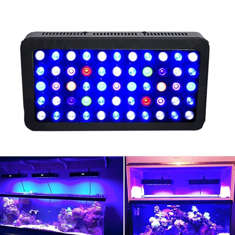 Lampu Akuarium 165W Smart WIFI - Marine Aquarium Timing ulasan dan harga