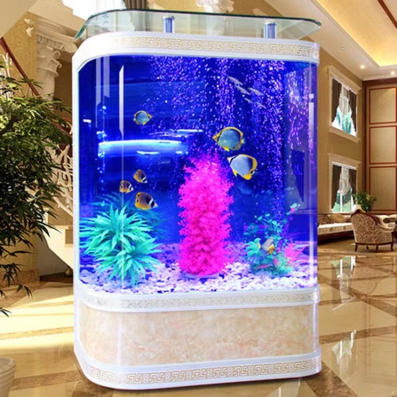 Akuarium Ikan Kaca 200 Galon D - Marine Aquarium Design ulasan dan harga