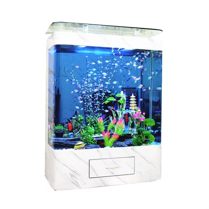 Akuarium Ikan Kaca 200 Galon D - Marine Aquarium Design ulasan dan harga