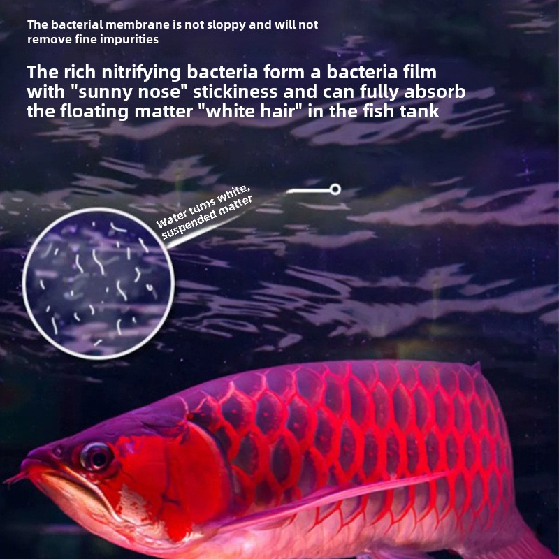 Bahan filter AC Bola kuarsa be - Calcium Reactor Media ulasan dan harga