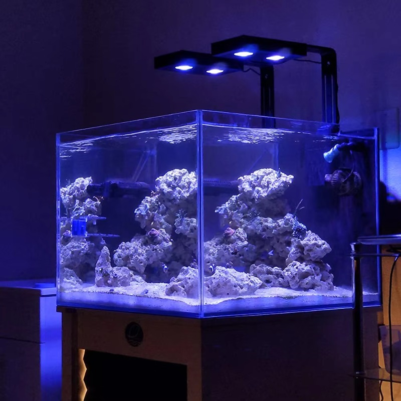 Lampu LED Akuarium DIY Spektru - Aqua Marine Tank ulasan dan harga