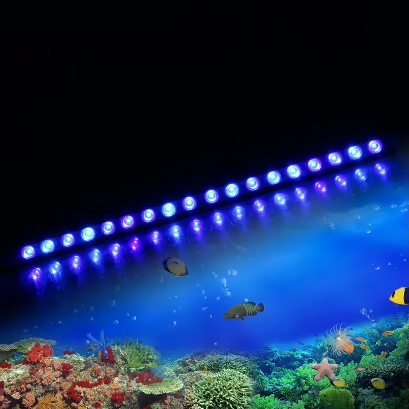 Lampu LED Akuarium dengan Peng - Marine Aquarium Timing ulasan dan harga