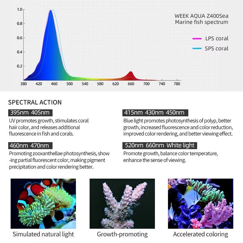 Week AQUA Z250/Z400 Lampu LED  - Aqua Marine Tank ulasan dan harga