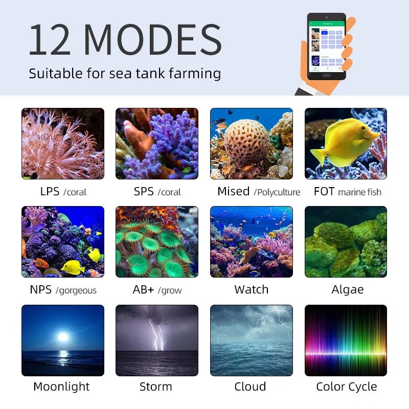 Week AQUA Z250/Z400 Lampu LED  - Aqua Marine Tank ulasan dan harga