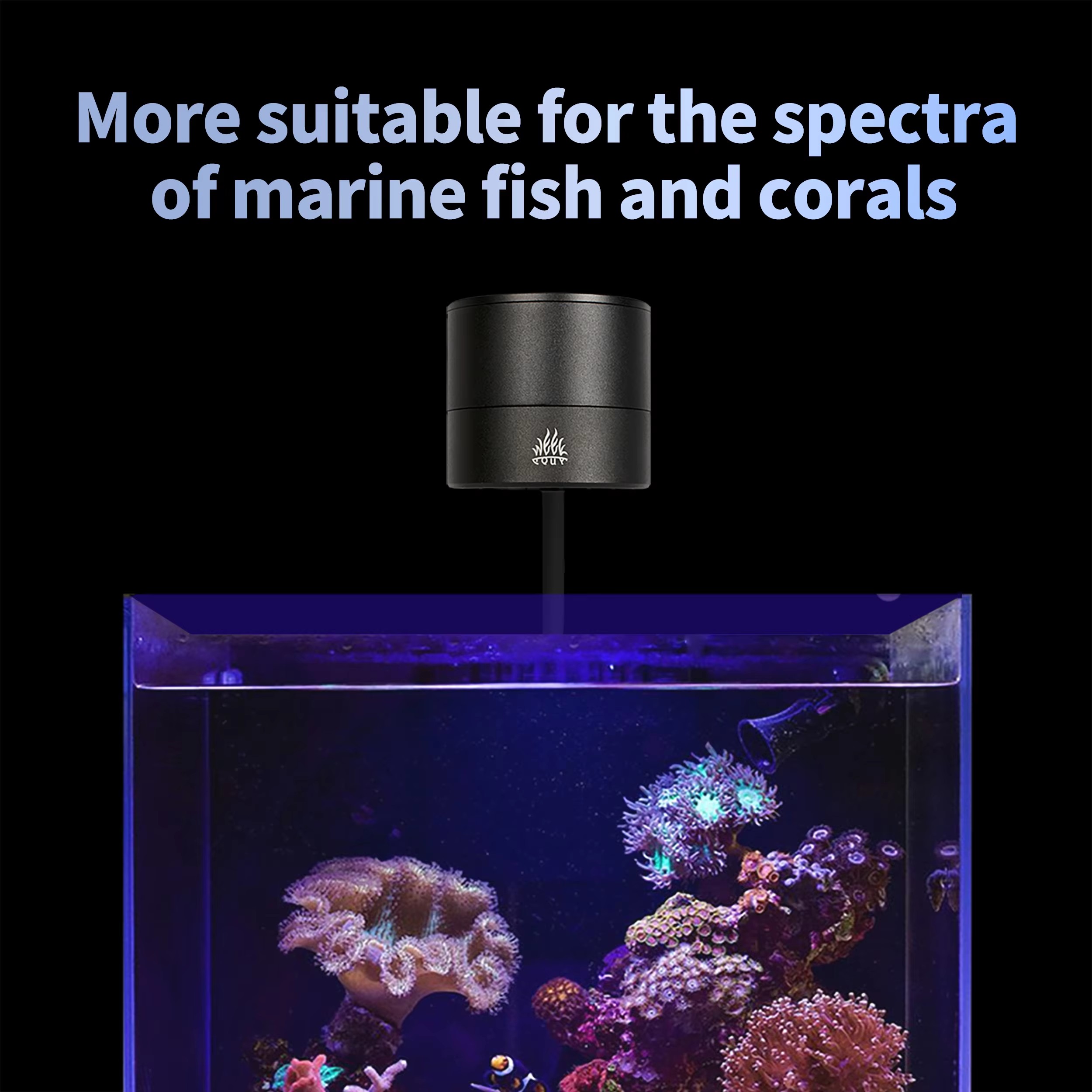 Produsen Lampu Akuarium WEEK A - Aqua Marine Tank ulasan dan harga