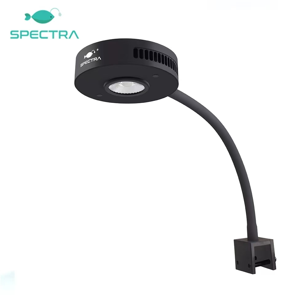 Lampu LED Akuarium Air Laut Te - Aqua Marine Tank ulasan dan harga