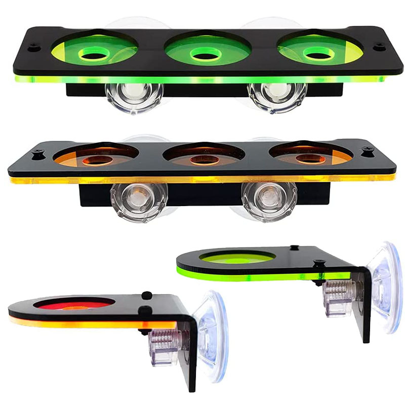Braket penumbuh karang neon, r - Marine Aquarium Design ulasan dan harga