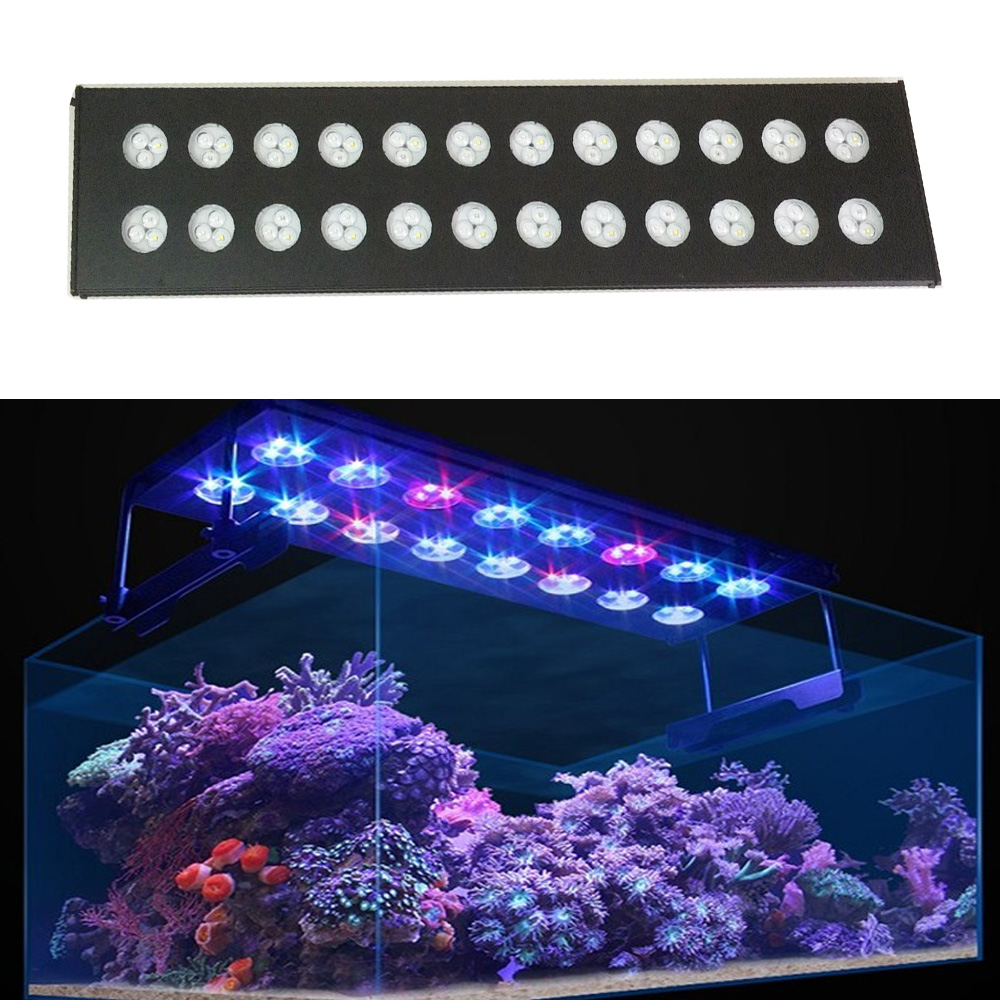 Spectra Aqua Helios Program Wi - Aqua Marine Tank ulasan dan harga
